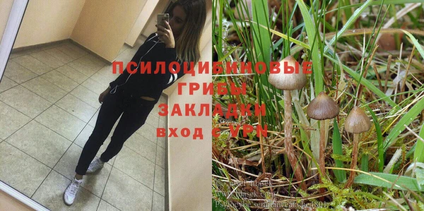 spice Саяногорск