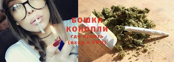 ECSTASY Сафоново