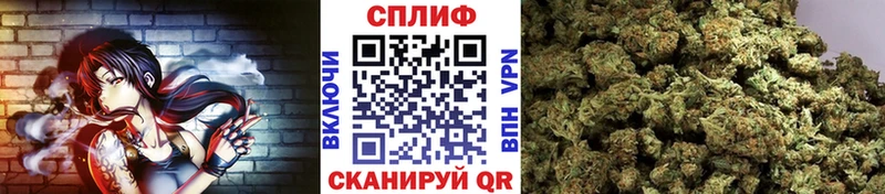 Конопля OG Kush  Купить закладки  Фрязино 
